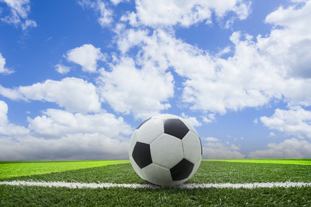 职业球迷观赛场景